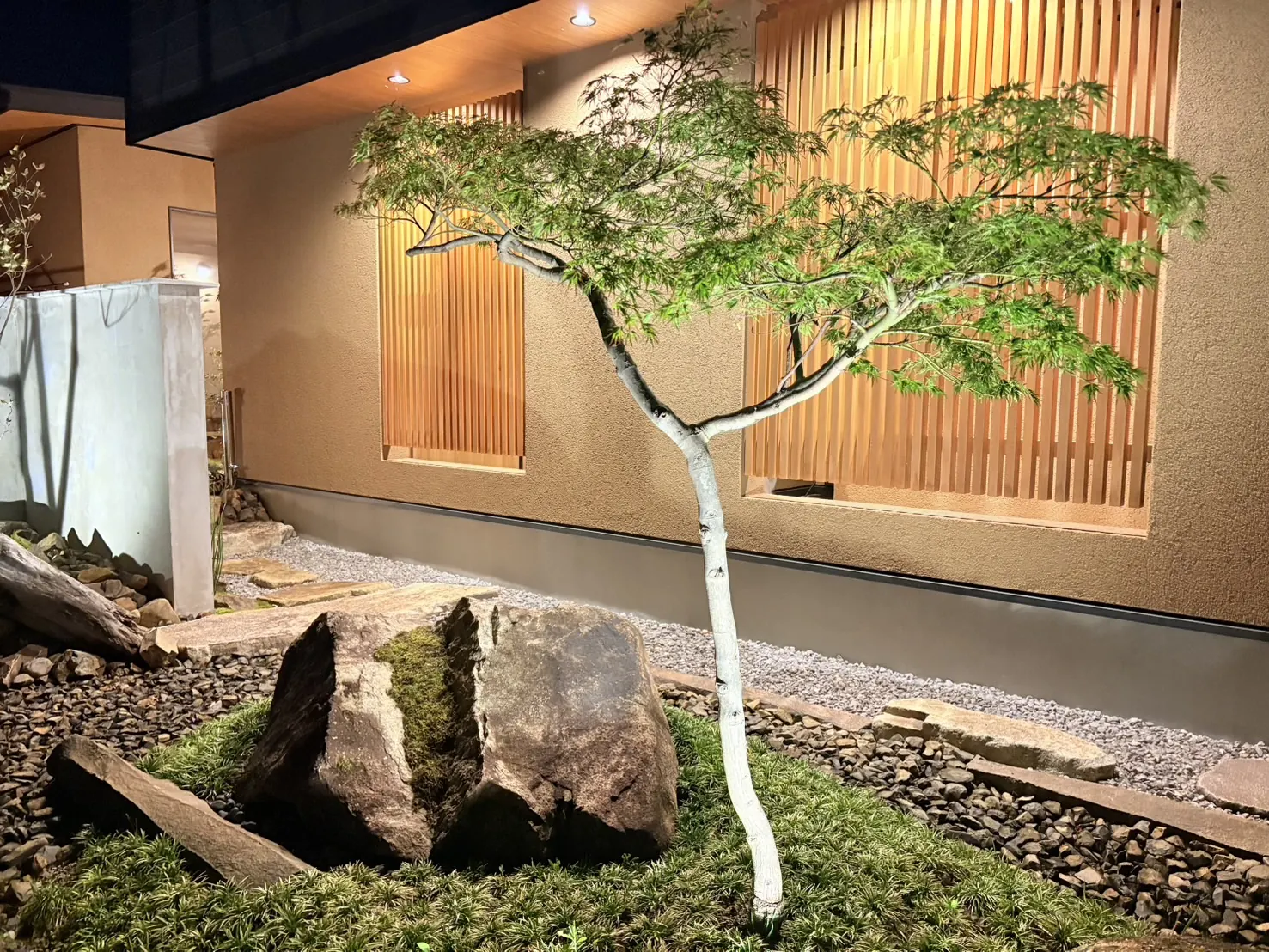 格子壁の前に据えた庭石と株立ちの木